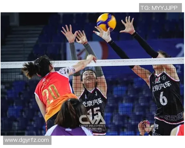 杭州排球队战术创新引领潮流助力排球竞技新高度